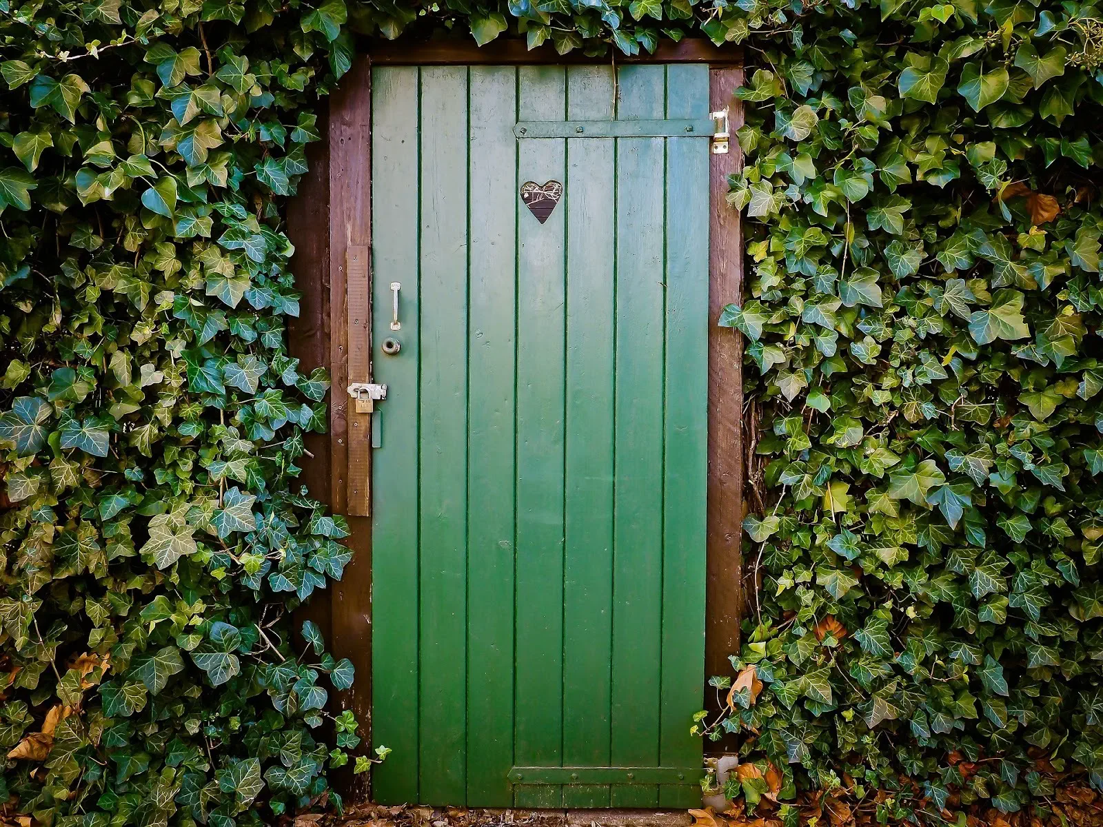Customized Designer Doors